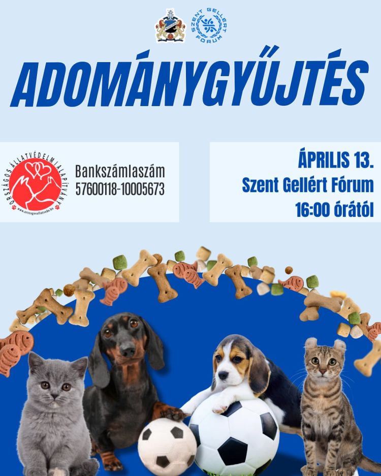 adomany.jpg