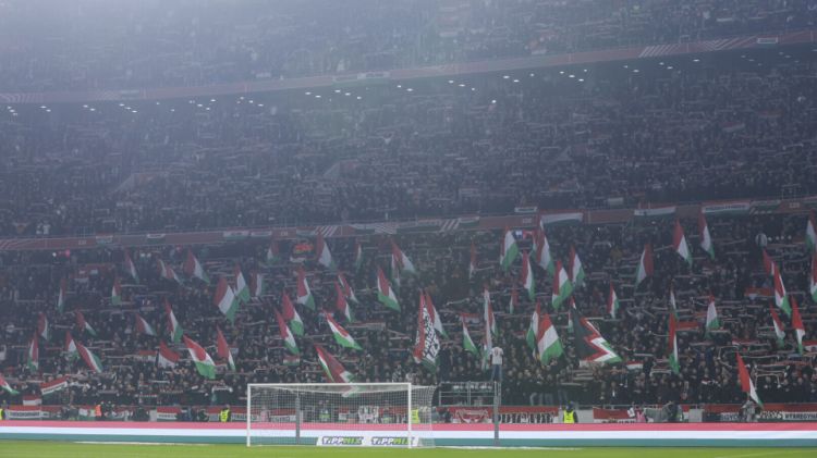 20241119-hungary-germany-89-di.jpg