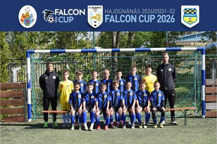 u11-falcon.jpg