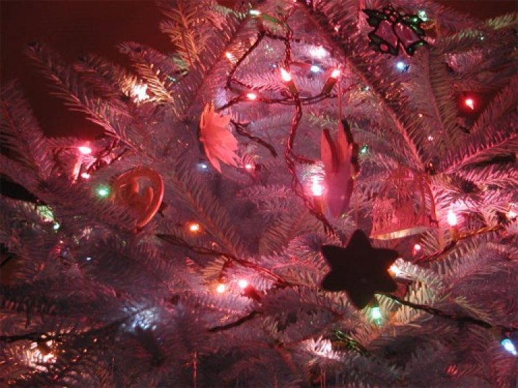 christmas-tree.jpg